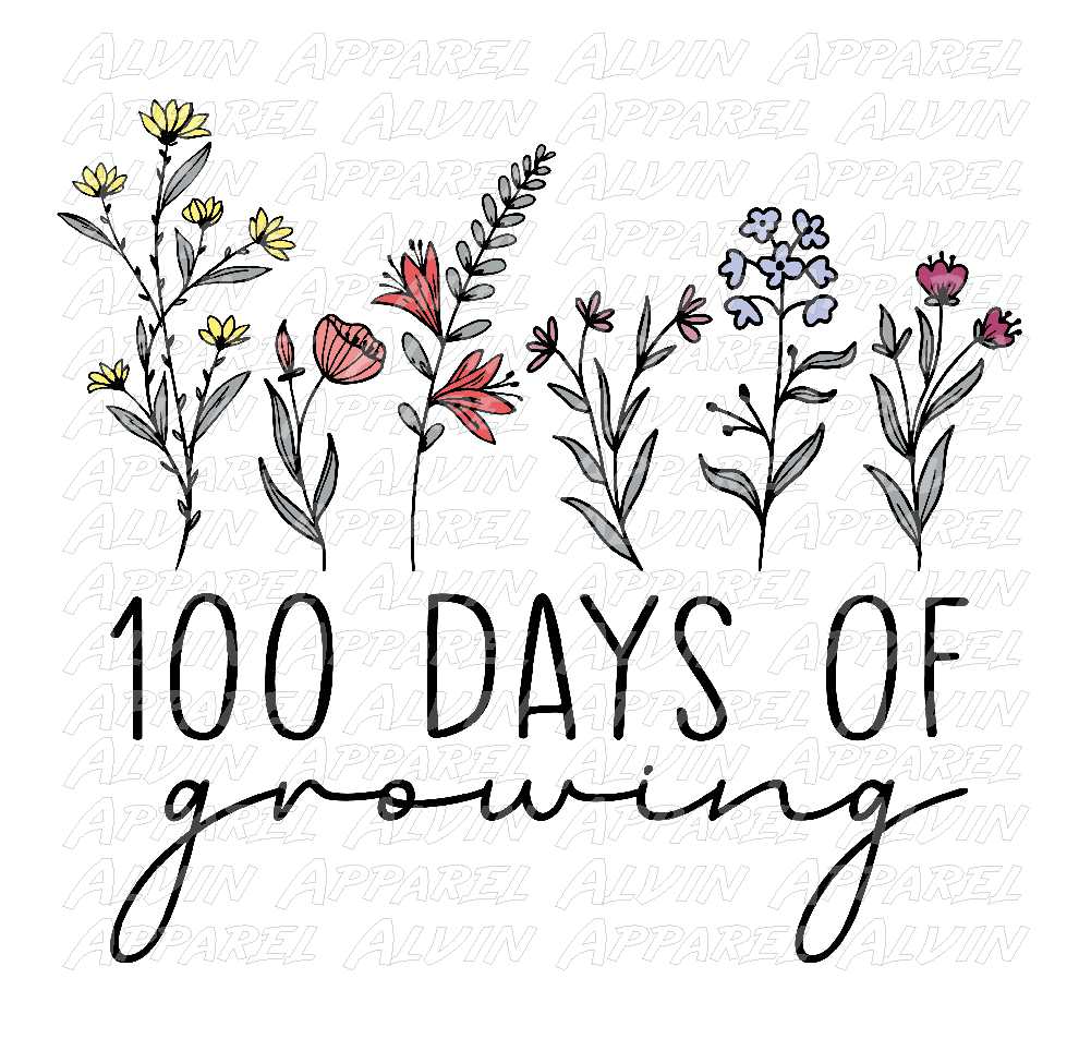 100 Days Flowers Growing