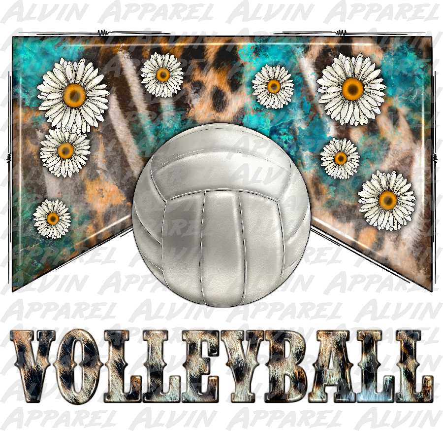 Volleyball Marlboro