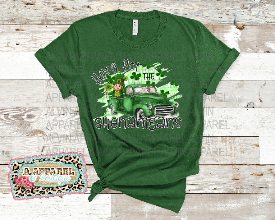 Here for the Shenanigans Gnome in Truck St Patrick's Day