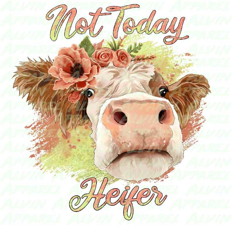 Not Today Heifer Transfer
