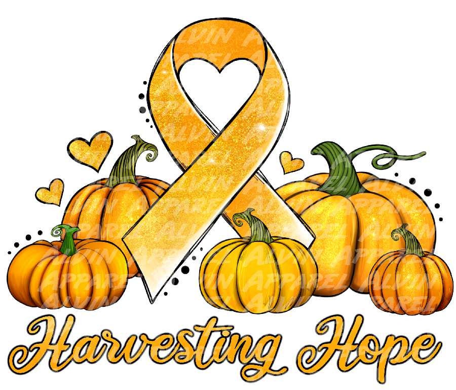 Harvesting Hope Childhood Cancer Pumpkins Transfer