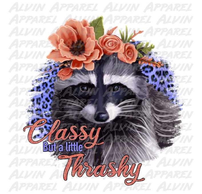 Classy but a Little Trashy Raccoon Transfer