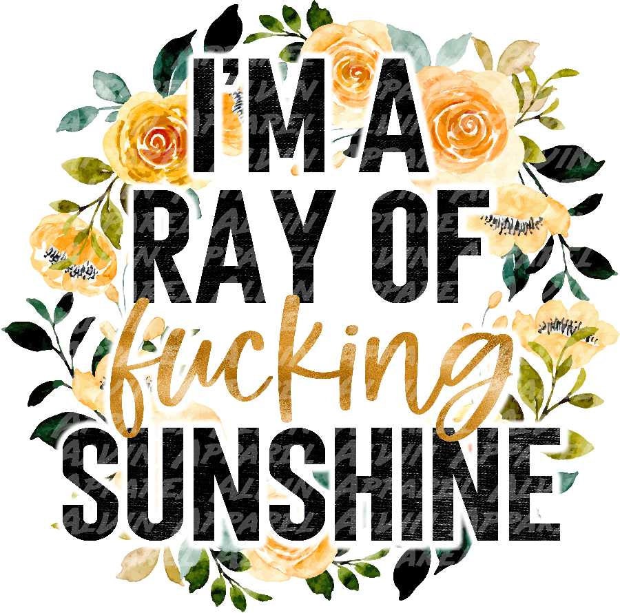 I'm a Ray of F'ing Sunshine Transfer