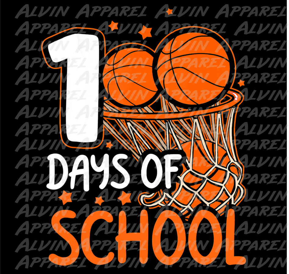 100 Day Basketball Net