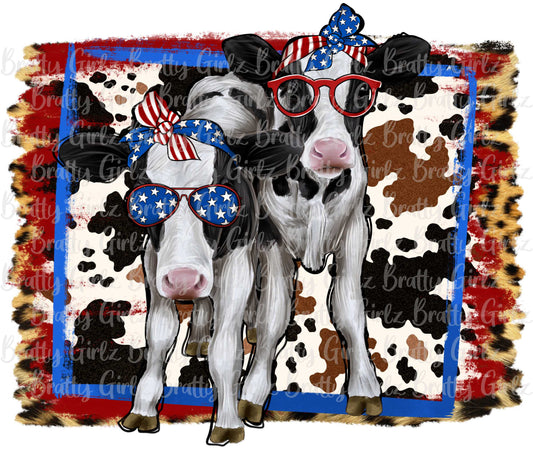 4th of July Cows