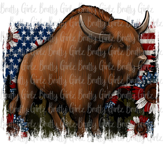 American Bison