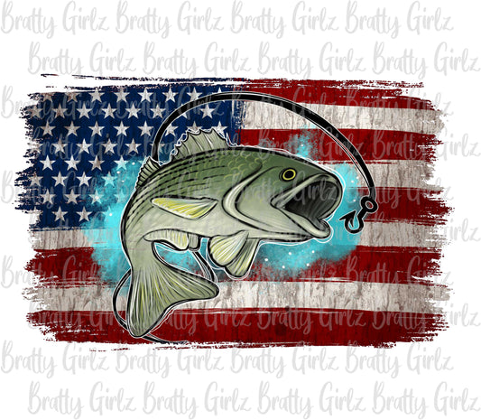 American Flag Fish