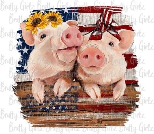 American Pigs