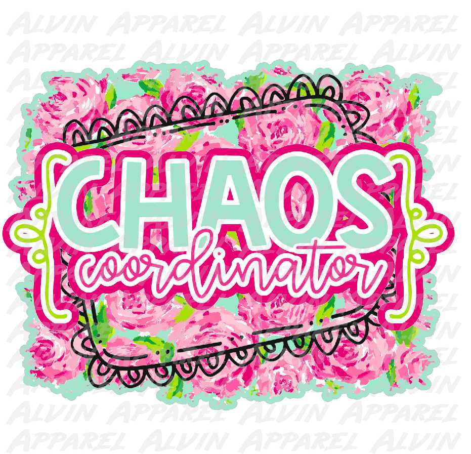 Chaos Coordinator Teacher 3