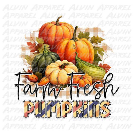 Farm fresh pumpkins 1 Transfer