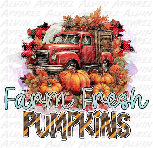 Farm fresh pumpkins 2 Transfer