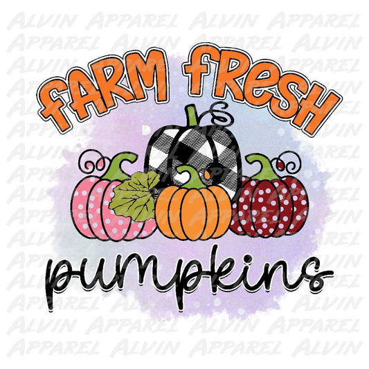 Farm fresh pumpkins 3 Transfer