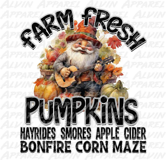 Farm fresh pumpkins hayrides smores Transfer