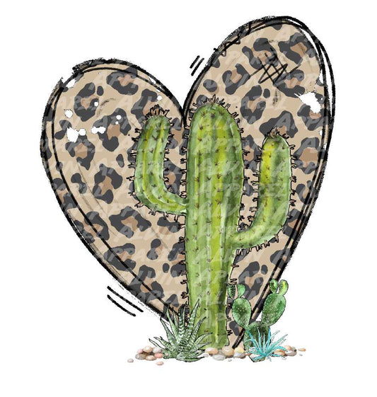 Leopard Cactus