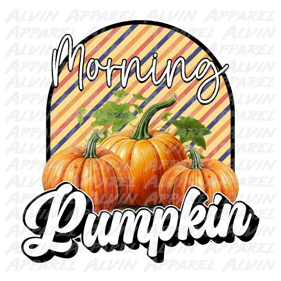 Morning Pumpkin Transfer