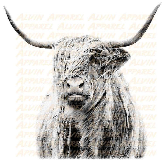 Highland Cow Greyscale Transfer
