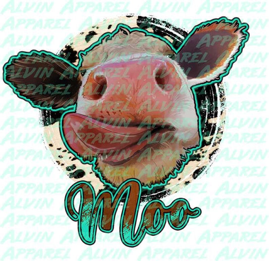 Moo Holstein Face Heifer Transfer