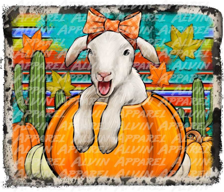 Sheep in a pumpkin Transfer