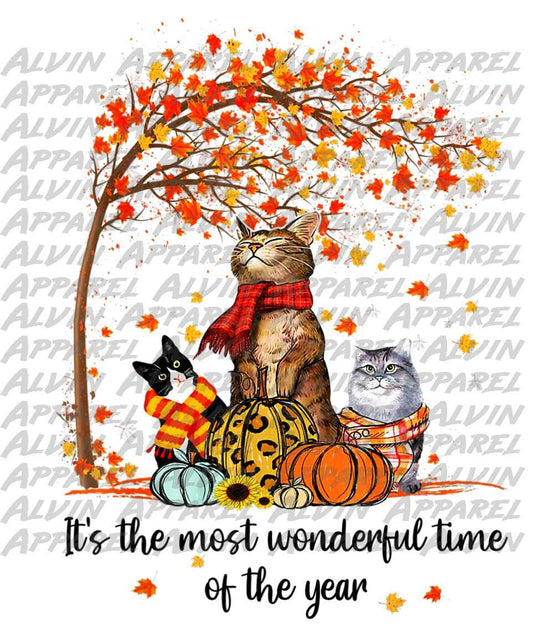 Fall Cats Wonderful Time of Year Transfer