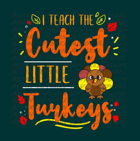 I teach the cutest little turkeys Transfer