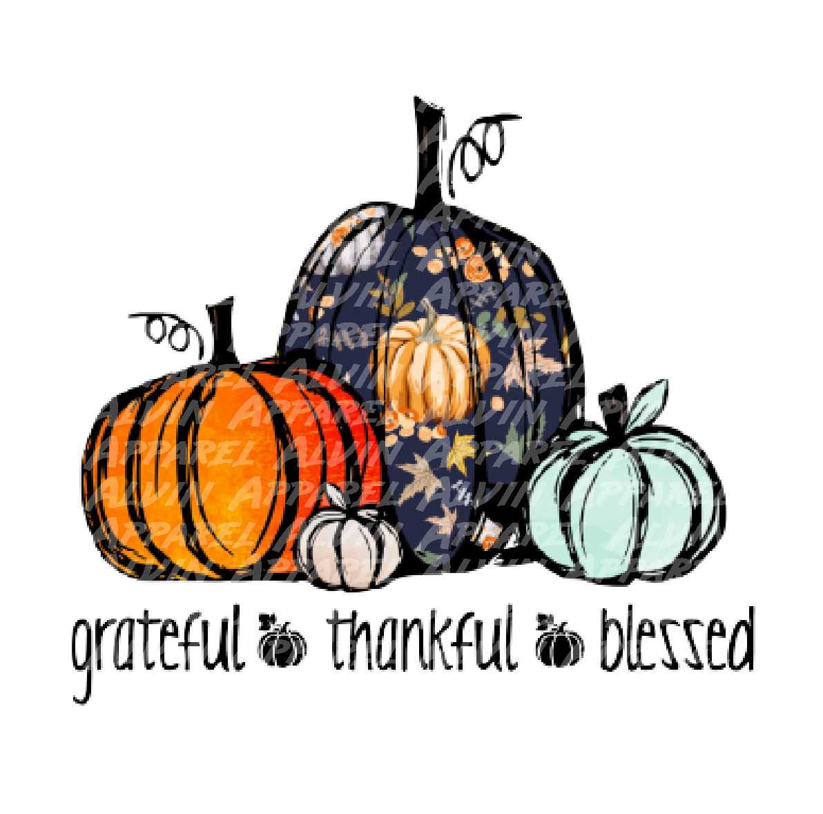 Trio grateful thankful blessed pumpkins Transfer